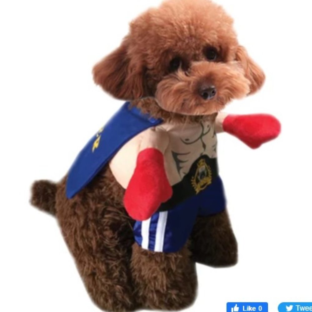 Boxer Pet Costume